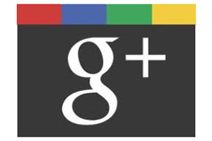 За высокие позиции в Google спасибо G+?