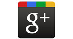 Брендовые страницы Google+ уже в SERP